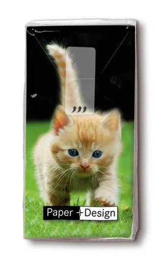 Handkerchiefs - Forwards