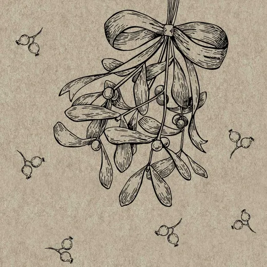 Cocktailservietten - Beeren - 100% Recycling