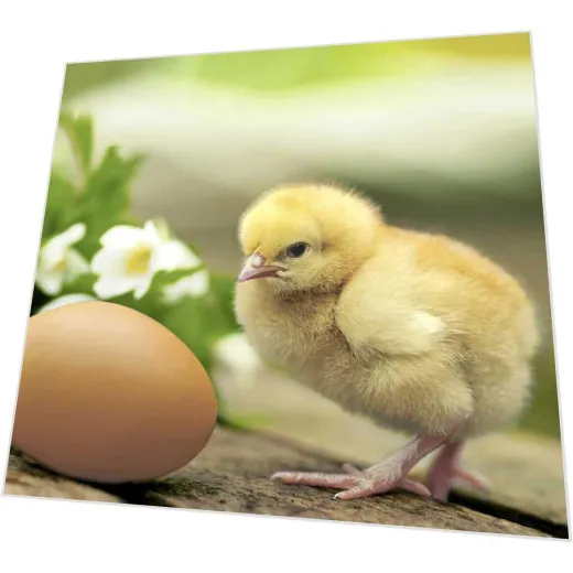 Cocktailservietten - Huhn mit Ei