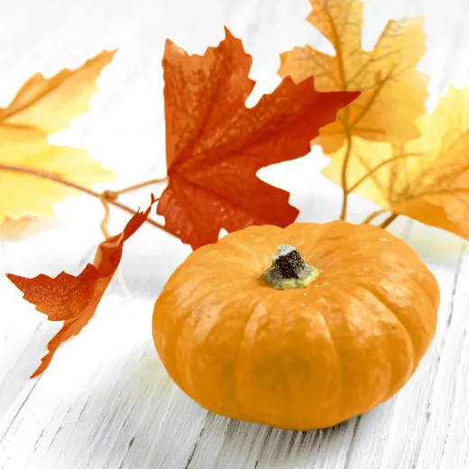 Cocktailservietten - Kürbisblatt