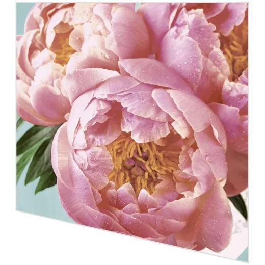 Cocktailservietten - Rosa Pfingstrose