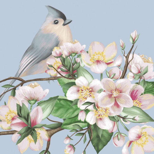 Cocktail napkins - Bird Lyrics