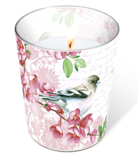 Candle in a glass - Sweet bird