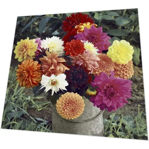 Servietten - Blütenzauber