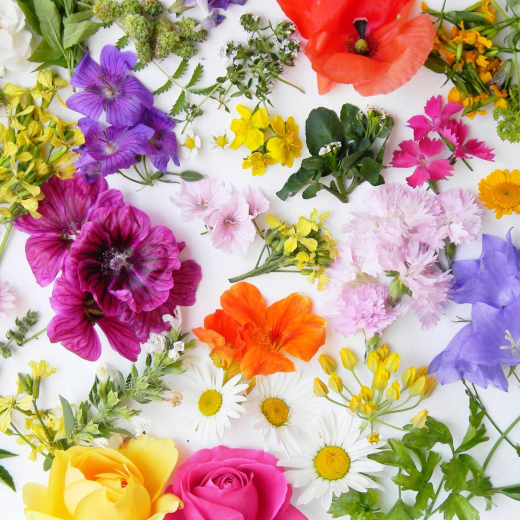 Servietten - Blumen gemischt