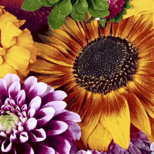 Servietten - Blumen im Spätsommer