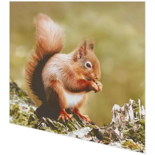 Servietten - Eichhörnchen