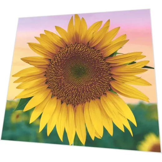 Servietten - Eine Sonnenblume