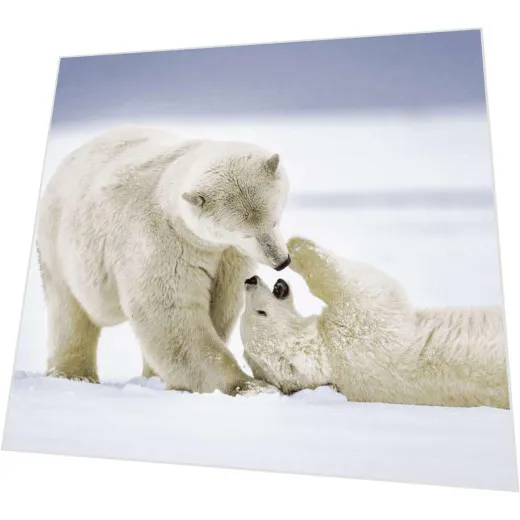 Servietten - Eisbären kuscheln