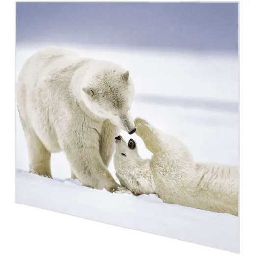 Servietten - Eisbären kuscheln