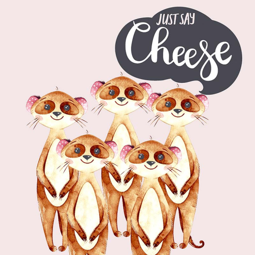 Napkins - Say Cheese