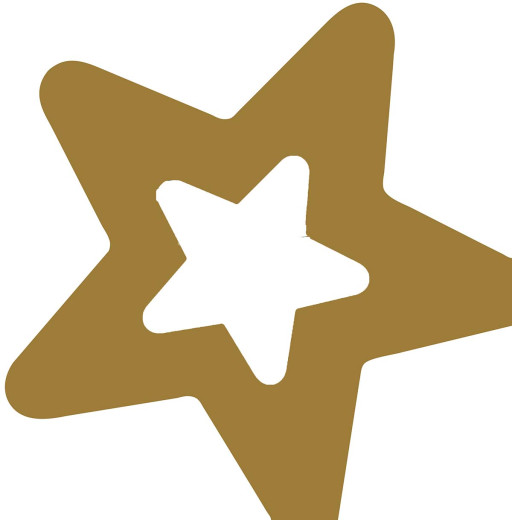 Napkins punched Snowy - Golden Star Decor