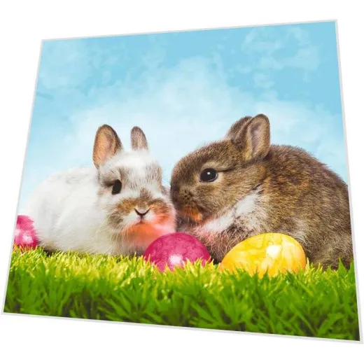 Napkins - Best friends