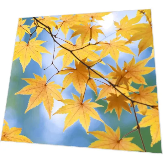 Servietten - Herbstblüte