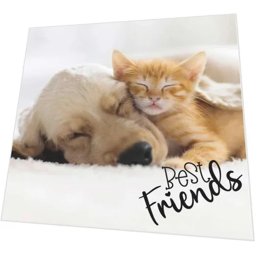 Servietten - Hund und Katze