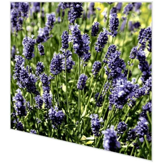 Servietten - Lavendelfeld