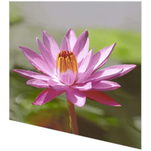Servietten - Lotus Pink