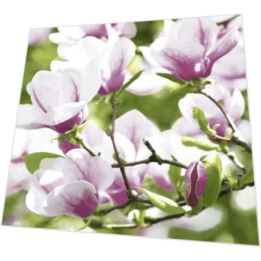 Servietten - Magnolie