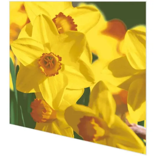 Servietten - Gelbe Narzissen
