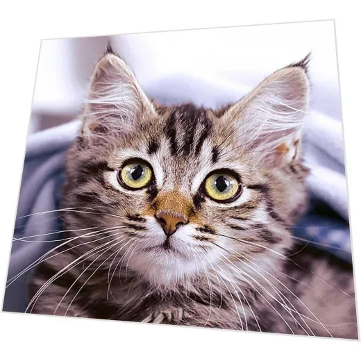 Servietten - Niedliche Katze