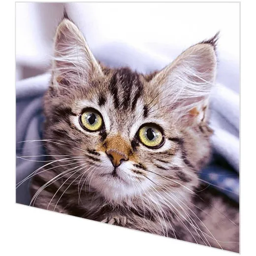 Servietten - Niedliche Katze