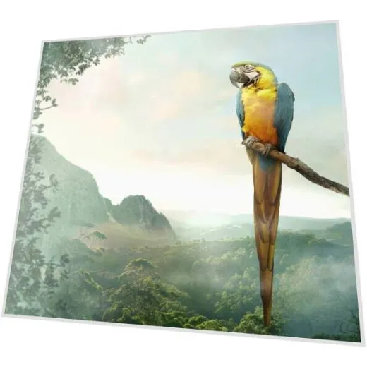 Servietten - Papagei