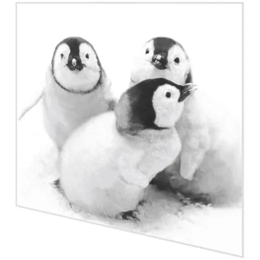 Servietten - Pinguine