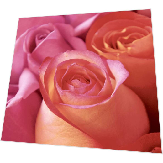 Servietten - Rosen - Rosenfreude