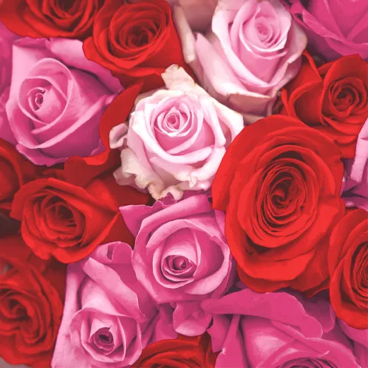 Napkins - Rose essence