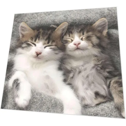 Servietten - Schlafende Katzen