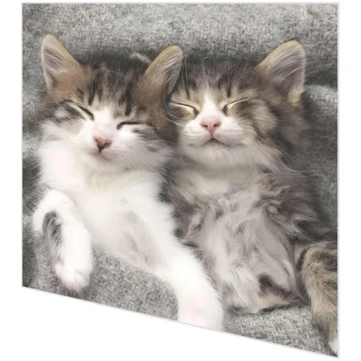 Servietten - Schlafende Katzen