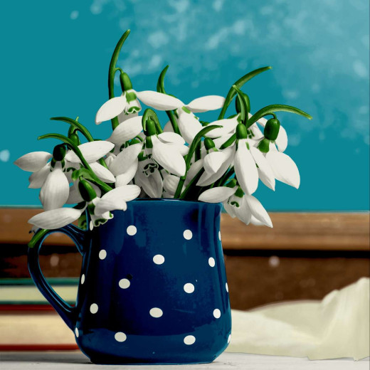 Napkins - Blue Snowdrops