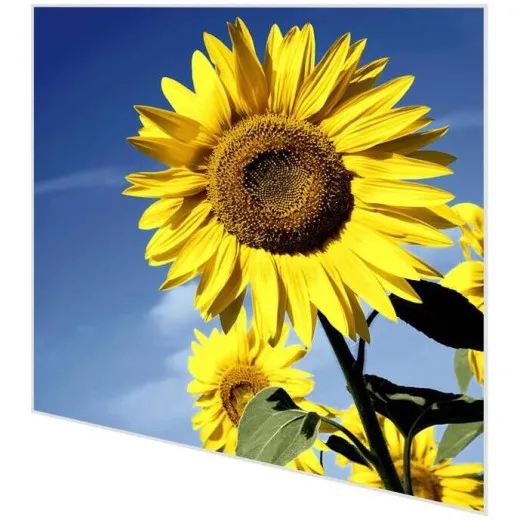 Servietten - Sonnenblumeblüte