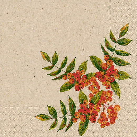 Napkins - Rowan berry - 100% of recycling