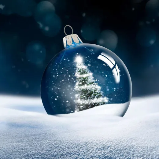 Napkins - Arctic Dream