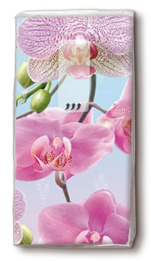 Taschentücher - Leuchtende Orchidee