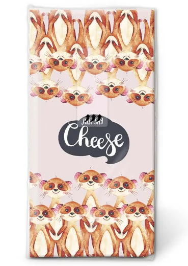 Taschentücher - Erdmännchen