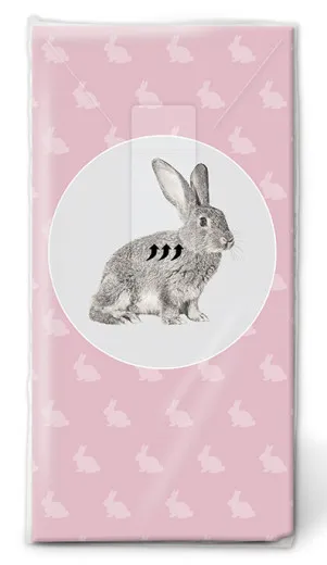 Handkerchiefs - Portrait of rabbit