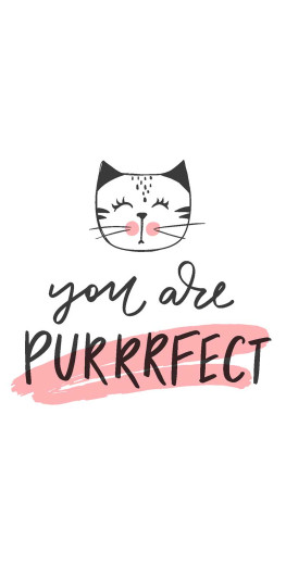 Taschentücher - Katze - Purrrfect