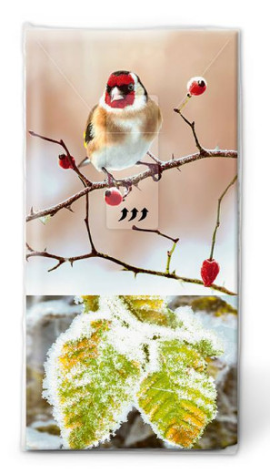 Handkerchiefs - Saison dhiver