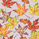 Cocktail napkins - Fall Leaves