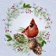 Cocktail napkins - Winter Cardinal