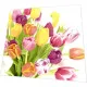 Cocktail napkins - Beautiful Tulips