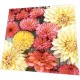 Cocktail napkins - Soft Dahlias
