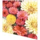 Cocktail napkins - Soft Dahlias
