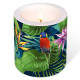 Candle - Jungle paraiso