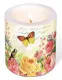 Candle - Portrait of butterfly