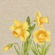 Napkins - Daffodil - 100% of recycling