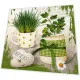 Napkins - Herbary
