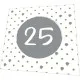 Napkins - 25th Birthday